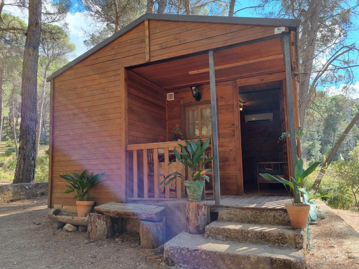 Cabanas El Robledo El Robledo  Exteriör bild