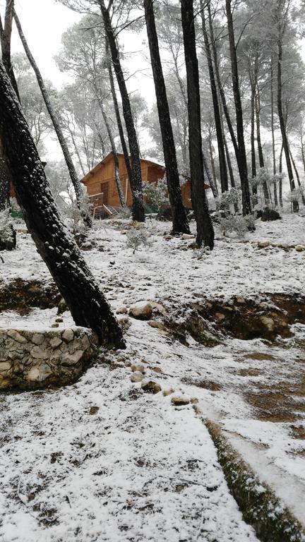 Cabanas El Robledo El Robledo  Exteriör bild